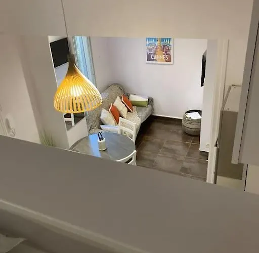 Centre-ville De 100 M 아파트 칸느